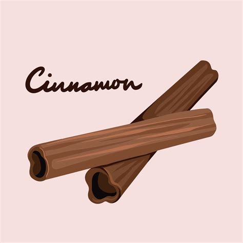 Two double cinnamon sweet spice vector illustration. Food cooking ...