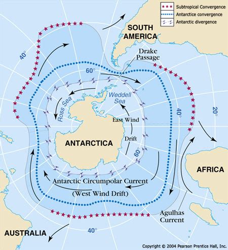 Antarctic: Ocean Circulation - Dive & Discover