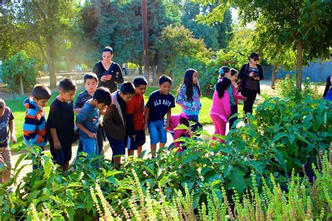 Seasonal Gatherings & Educational Farm Tours – Vista Ranch