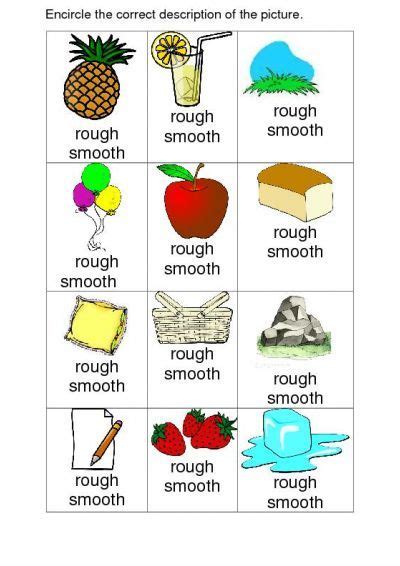 smooth and rough | Kindergarten worksheets, Kindergarten worksheets printable, Free kindergarten ...