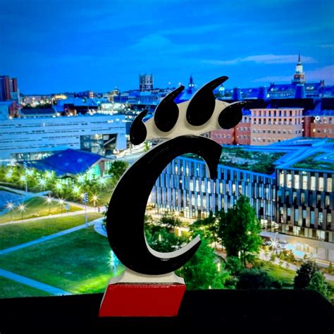 Cincinnati Bearcats Logo Decor - Etsy