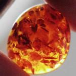 Amber - Gem Resource International