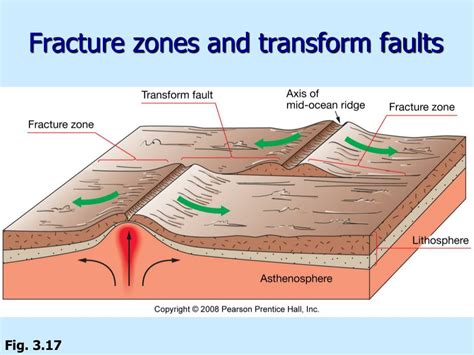 PPT - CHAPTER 3 Marine Provinces PowerPoint Presentation, free download - ID:5768129