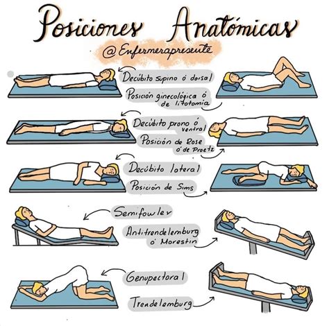 Anatomical Positions