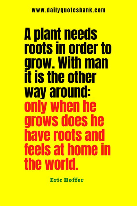 101 Roots Quotes That Will Help Always Remember Your Roots