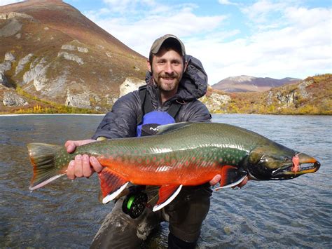 The top 10 best alaska fishing trips – Artofit