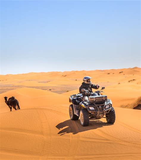 Camel Trekking in the Atlantic and Draa Valleys | Morocco Planet LLC