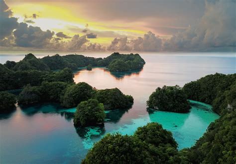 Diving in Palau: The Best Adrenaline Diving In the World - Epic7Travel.com Adventure Travel Blog