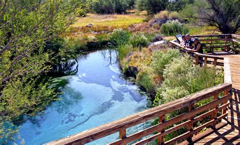 Nevada Magazine: Ash Meadows National Wildlife Refuge