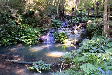 10 top tips for Bunya Mountains weekend