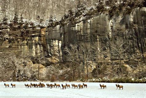 Buffalo River Photo Contest | Buffalo River – National Park Region