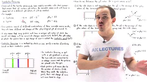 Isoelectric Focusing and Isoelectric Point - YouTube