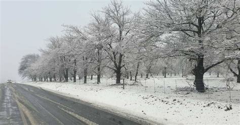 Snow blankets parts of Western Cape - Ceres, Sutherland and Matroosberg