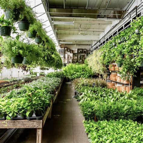 15 Best Plant Shops In Brooklyn