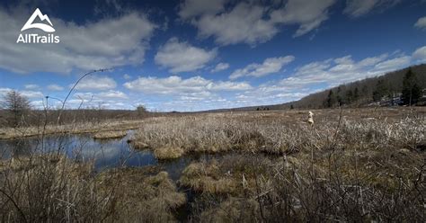 Best hikes and trails in Gouldsboro State Park | AllTrails