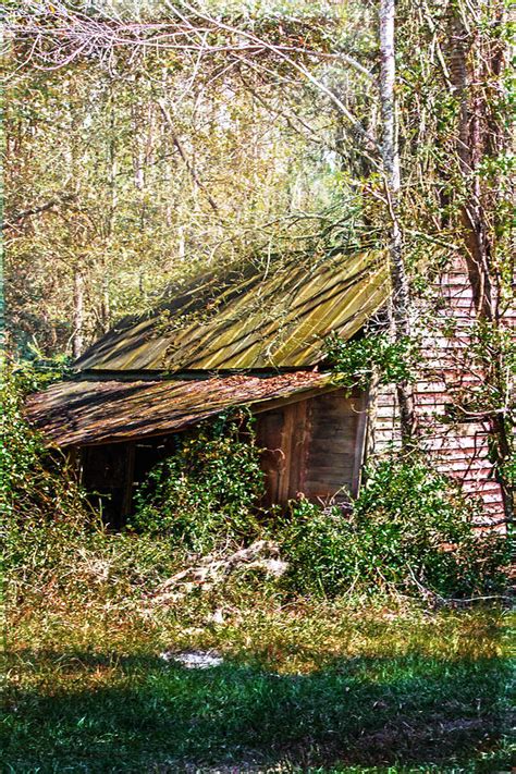 Tin Roof Rusted Photograph by Judy Hall-Folde - Pixels