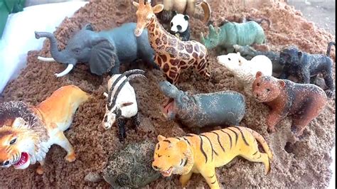 Zoo Animal Toy Surprise Hidden In Sand/Dump Truck /Safari Ltd Schleich Wild Animal Toys - YouTube