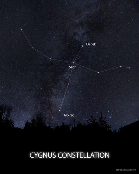 The Constellation Cygnus | Facts, Location, Photos and Mythology