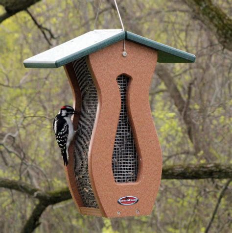 Peanut Bird Feeders | Whole or Shelled Peanut Feeders - The Birdhouse Chick