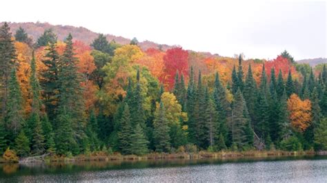 Photos of spectacular fall colours on display across Canada | CTV News