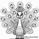 Abstract Peacock Coloring Pages  Free & Printable sketch template