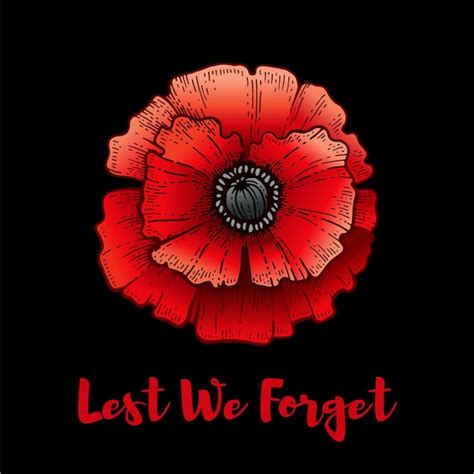 Premium Vector | Remembrance day. Poppy with Lest we forget text ...