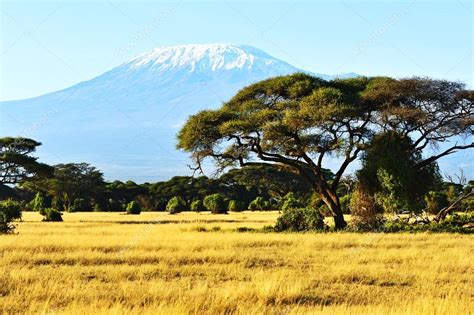 African savannah landscape — Stock Photo © kyslynskyy #53480337