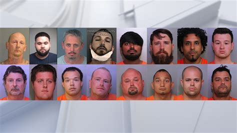 Sheriff: Polk detectives arrest 16 people in undercover sting targeting ...