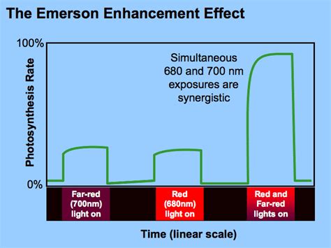 Emerson effect - Alchetron, The Free Social Encyclopedia