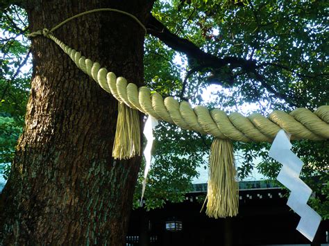 shimenawa - Google Search | Japanese shrine, Meiji shrine, Japan temple