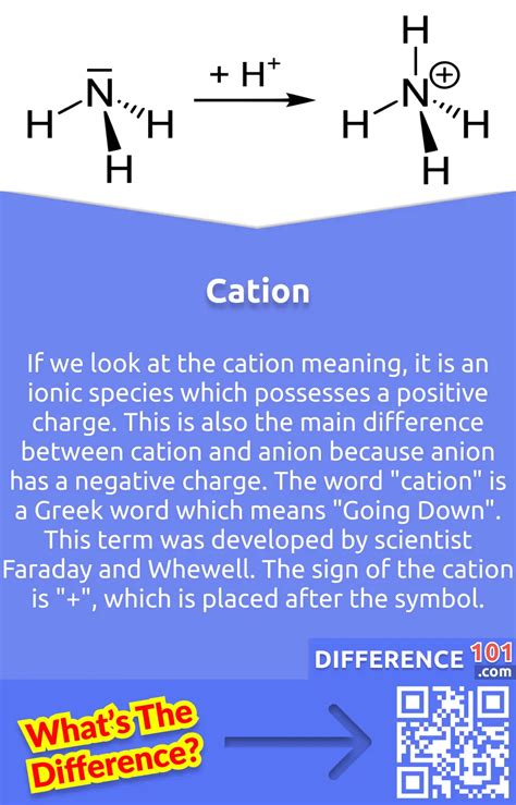 Cation And Anion