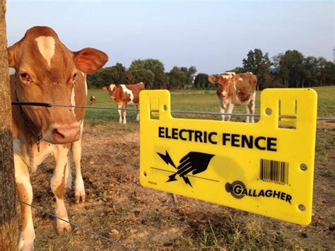 Gallagher Electric Fence Warning Sign G602404 | Farm Fencing Equipment ...