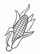 Corn Coloring Pages Printable For Free Download sketch template