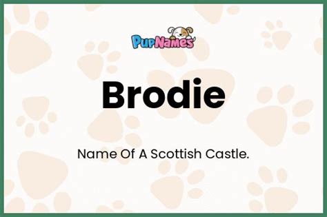 Brodie 🐶 - Dog Name Meaning & Popularity | PupNames.com™