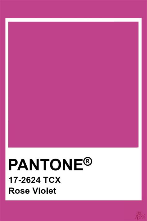 Pantone Rose Violet | Pantone palette, Pantone colour palettes, Pantone