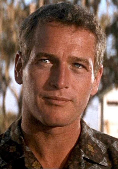 2. Paul Newman as Cool Hand Luke (1967) | Paul newman, Movie stars, Actors