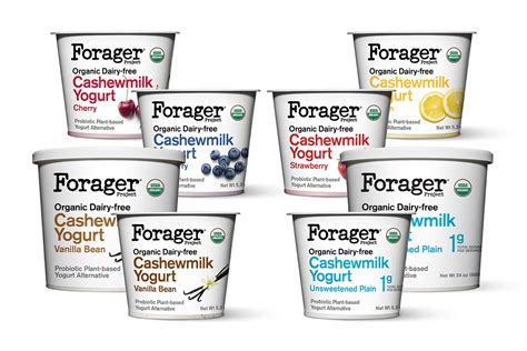 The 10 Best Dairy-Free Yogurt Brands to Buy Right Now