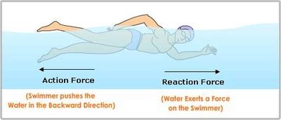 Newton's Laws of Motion - PHYSICS IN SWIMMING