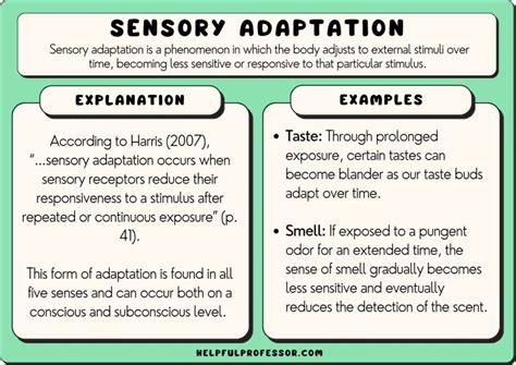 Sensory Adaptation: 10 Examples and Definition (2024)