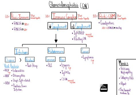 Dx Schema – Glomerulonephritis – The Clinical Problem Solvers