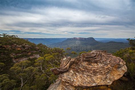 Unusual Rock Formations Closeup at Petrified Forest, Cape Bridgewater, Australia. Stock Image ...