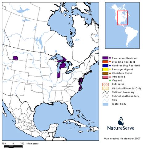 Tennessee Watchable Wildlife | Mute Swan - Habitat: 1