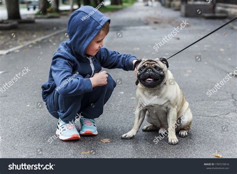 6,405 Pug Family Images, Stock Photos & Vectors | Shutterstock