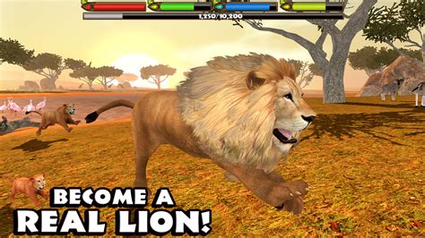 Ultimate Lion Simulator 1.0.4 [Full Version] Android Game APK Free Download - apk gratis