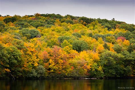 Mont-Saint-Bruno National Park, Quebec | Joel Adria | Flickr