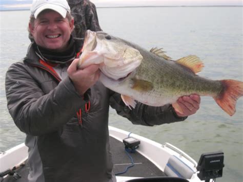 Falcon Lake Fishing Guides 2024 - Fishmasters.com