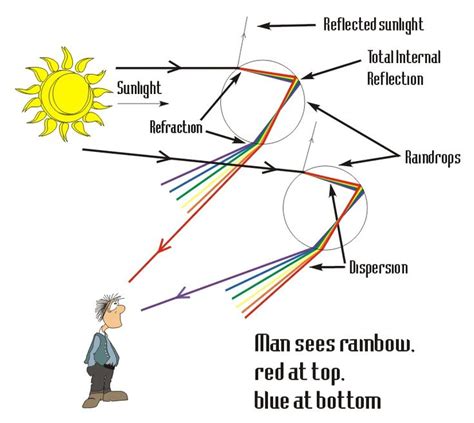 Rainbow Formation | How rainbow is formed, Science, Fourth grade science