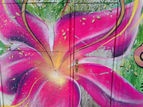 Ilmainen kuva: graffiti, ovi, värikäs, kukka, luonto, yrtti, kasvi