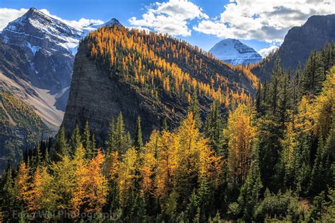 Autumn Colors In Rocky Mountains, Banff National Park, Alb… | Flickr