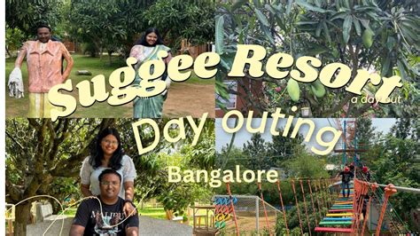 Day outing at Suggee Resort Bangalore |Budget Friendly day outing at Suggee Resort Bangalore ...